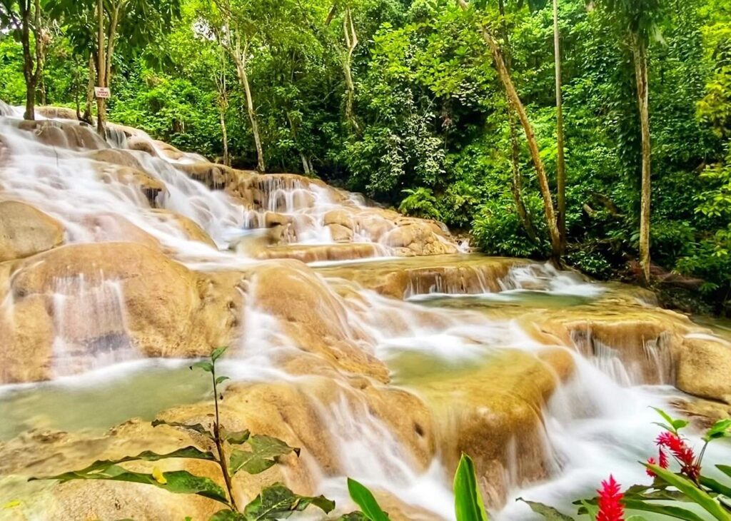 Top 5 Attractions Not To Miss In Jamaica