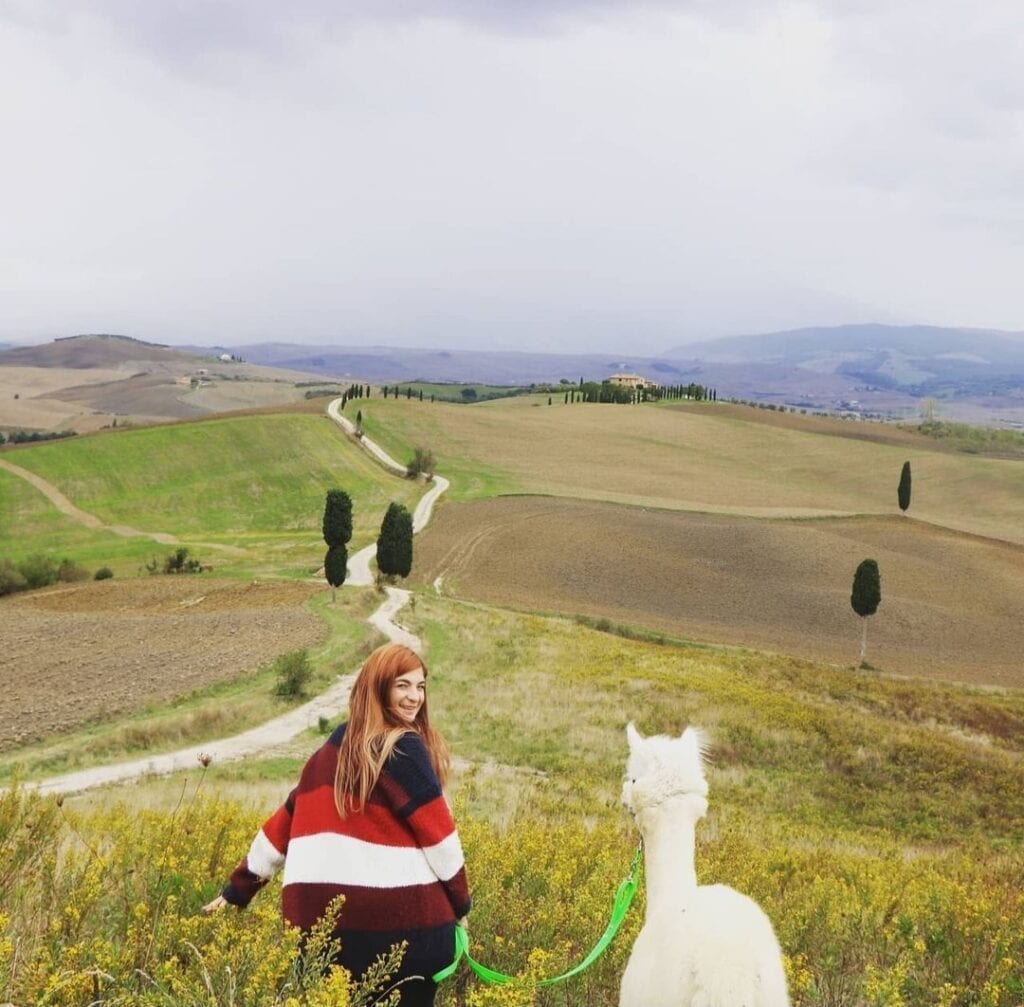 Family-friendly experiences and things to do in Italy - Alpaca trekking in Italy