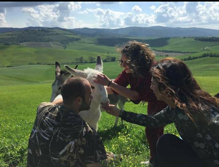 Family-friendly experiences and things to do in Italy - Visit a goat farm in Tuscany, Italy