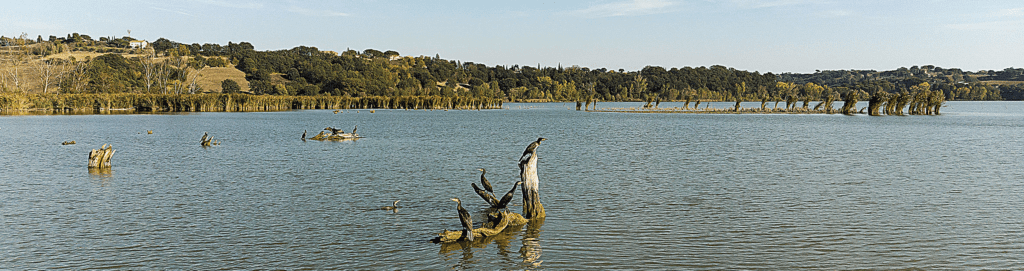 Family-friendly experiences and things to do in Italy - Enjoy and Swim in Montepulciano Lake, Tuscany, Italy