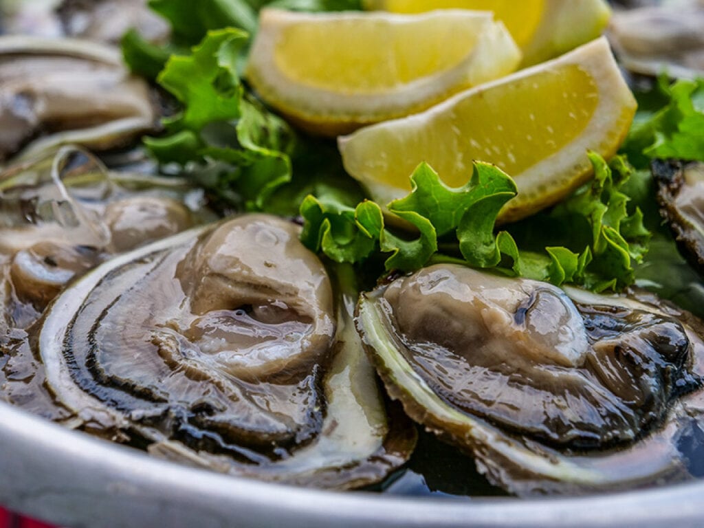 Ston Oysters, Croatia - Croatia Montenegro Albania food and wine tasting itinerary